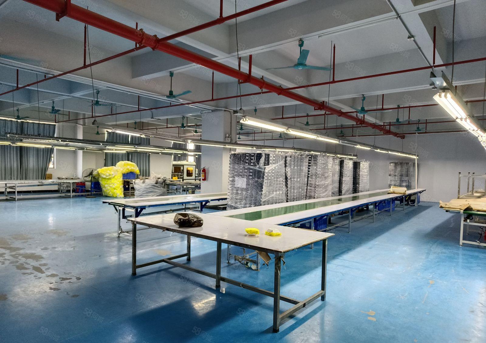 独院厂房独栋厂房重工业厂房小面积厂房小型厂房一楼厂房分租厂房