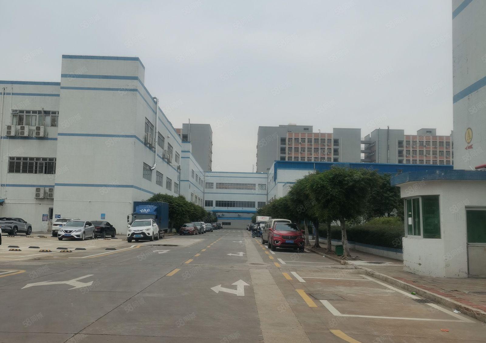 东坑镇标准厂房出租，国有双证齐全，带红本园区空地超大，易招工