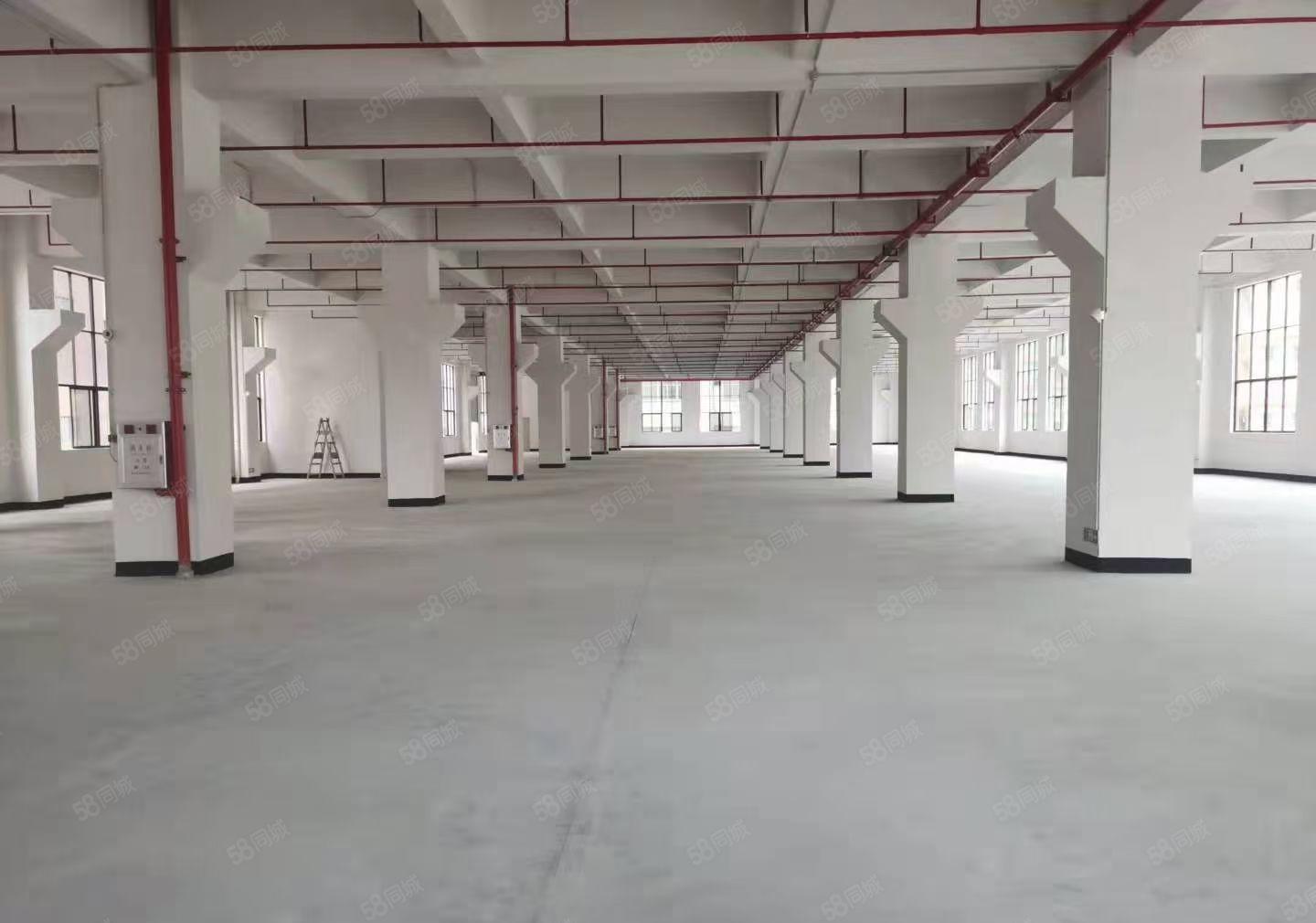全新红本厂房出租，可做仓库22600平方大小可分租