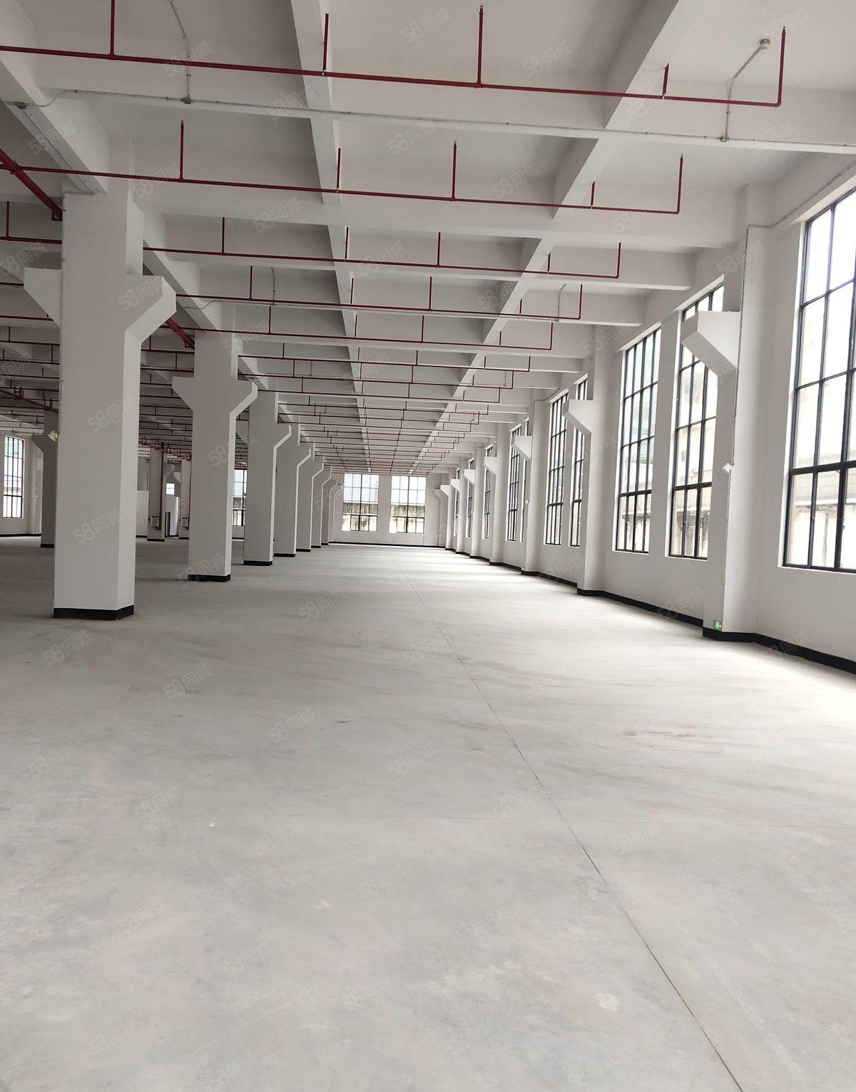 东坑镇工业园区 一楼厂房招租 面积3580平方 可整租可分租