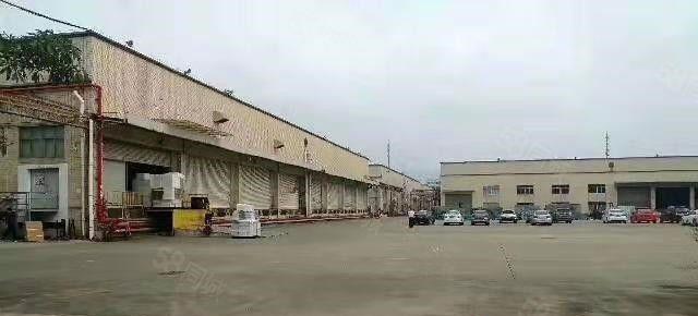 东坑 黄屋 单一层钢构出租2000平,带卸货平台,可分租