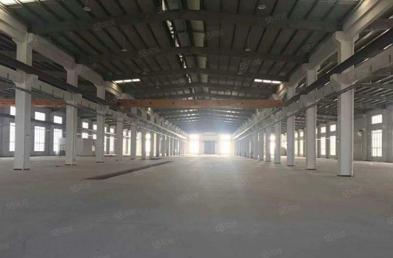 东坑 草塘 全新 厂房 仓库出租 300平 600平 800