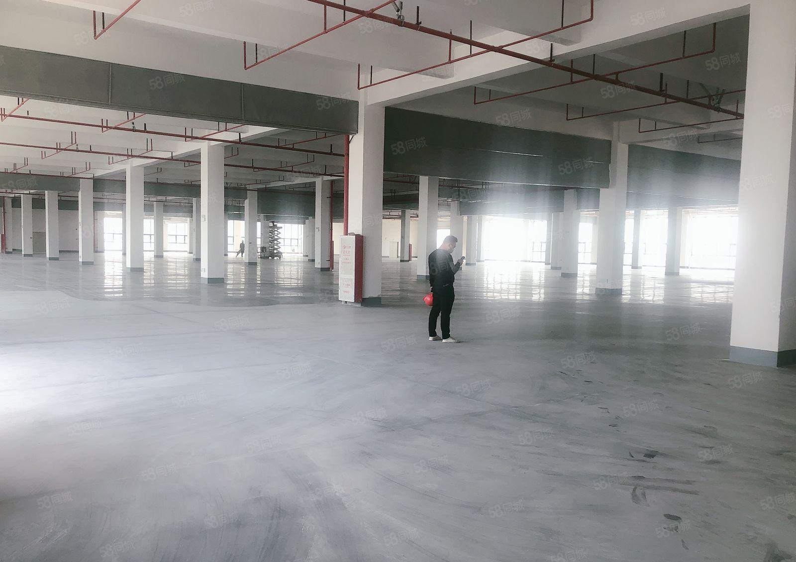 厂房出租     东坑镇新出原房东150000红本厂房出租！