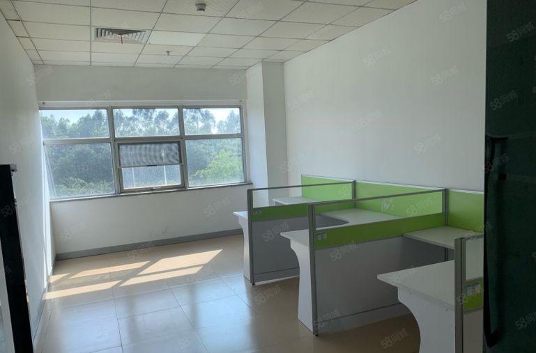 价格7元原房东300平500平1000平东坑大朗一楼仓库厂房