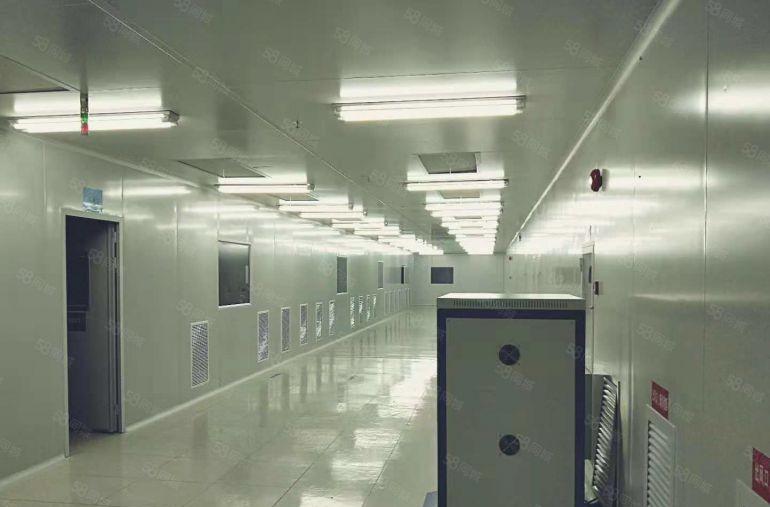 东坑 科技路附近 高新科技园3万平方火爆招商 可分租