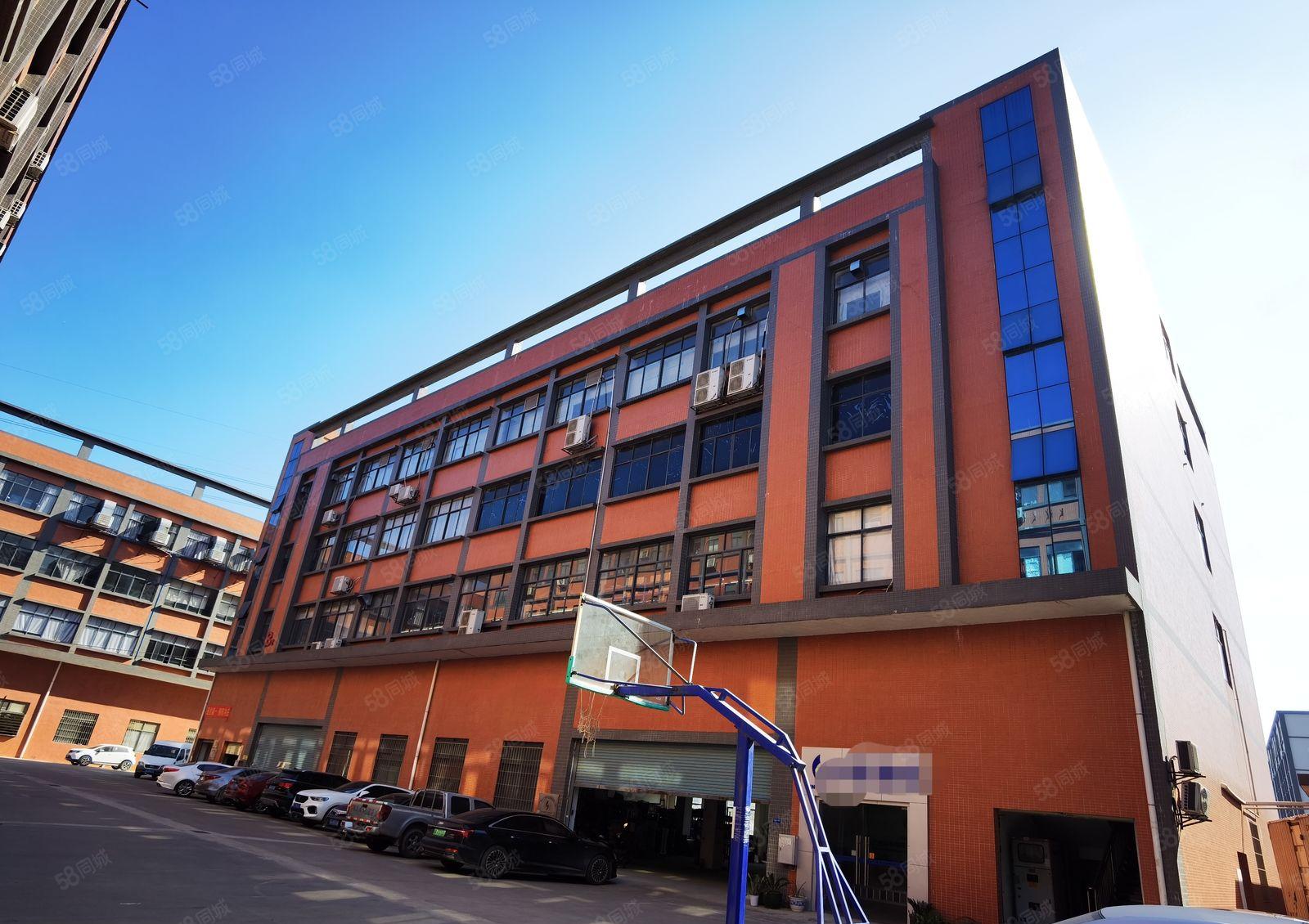 价格优惠！东坑镇独院标准厂房出租一楼800平方带装修交通方便