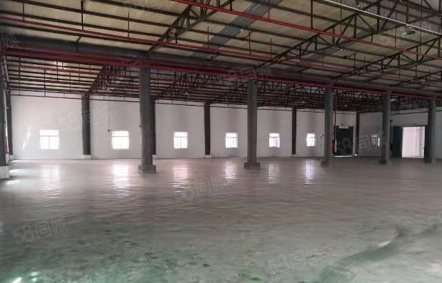 东坑 平谦国际工业园 钢构 厂房出租2000平方，8米高