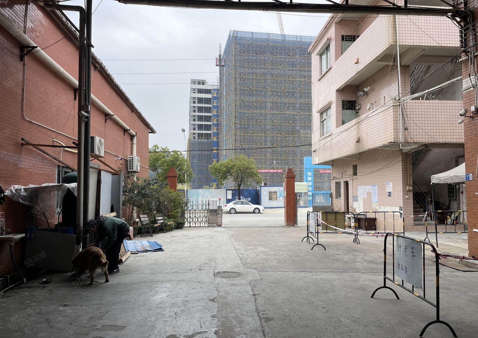 东坑镇工业园砖墙到顶单一层厂房出租1300平层高7米交通便利