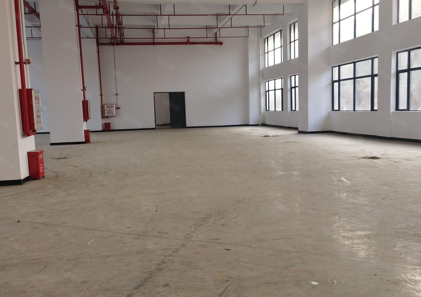 出租东坑新门楼厂房 水电到位 带消防喷淋 空地超大 交通便利