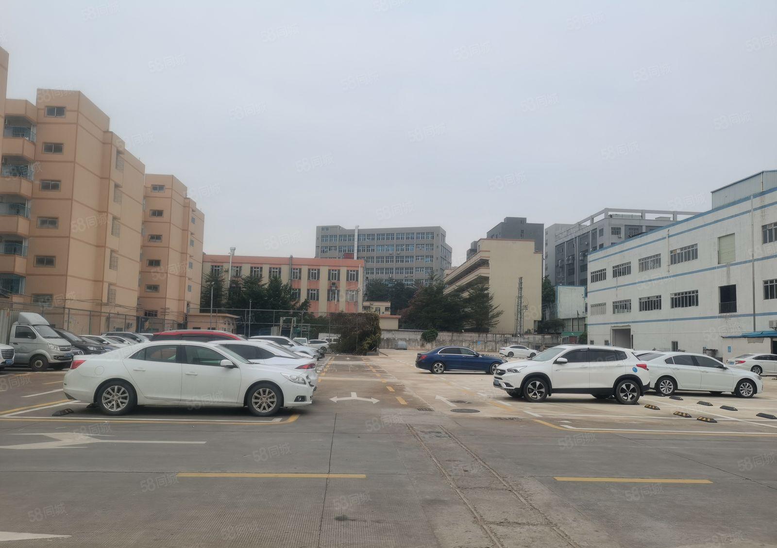 东坑镇标准厂房出租，国有双证齐全，带红本园区空地超大，易招工