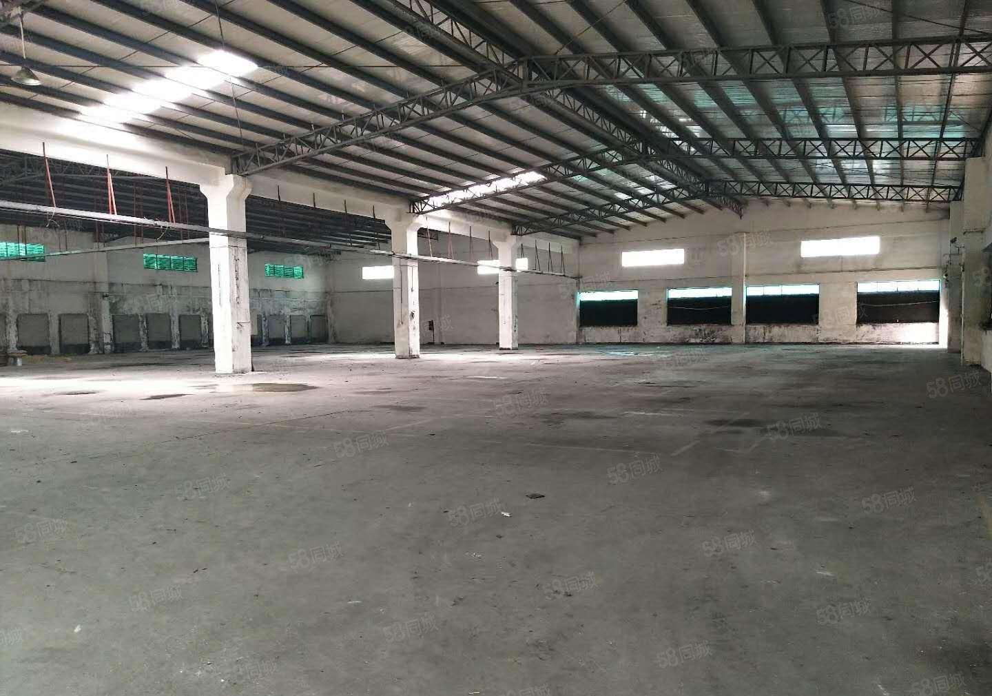 东坑 8米高 钢构 厂房出租1500平方,九成新，独院