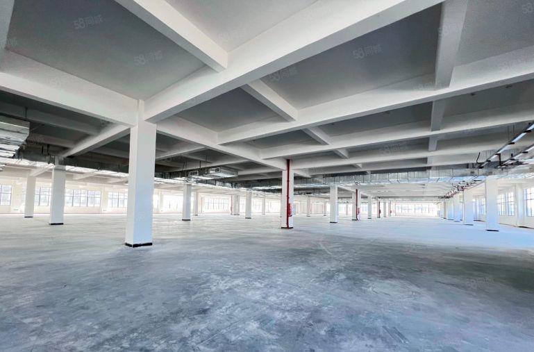 全新厂房 分租 超大的院子 可进出大货车 电梯