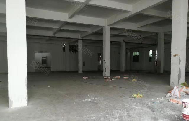 东坑 大地工业区 独院厂房 分租 一楼300平方，价格便宜