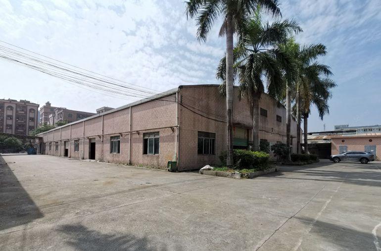 东坑新出砖墙到顶单一层低价出租，有现成地磅，办公室，空地超大