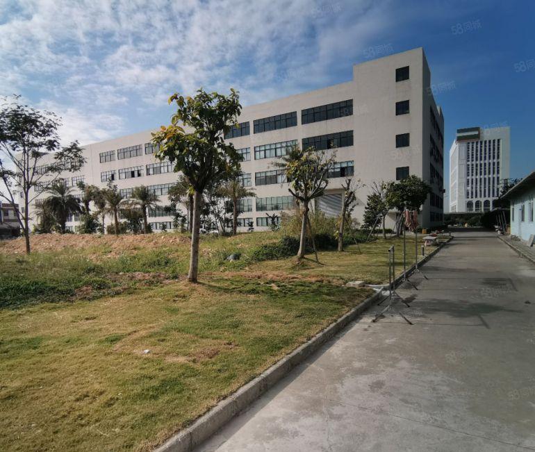 15元每平 一手房东超长免租期  双证齐全 超大空地 可分租