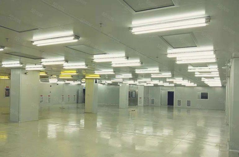 东坑 科技路附近 高新科技园3万平方火爆招商 可分租