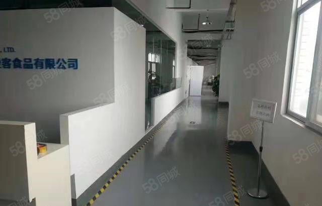 东坑 井美 独栋 小厂房 900平方出租，带精装修