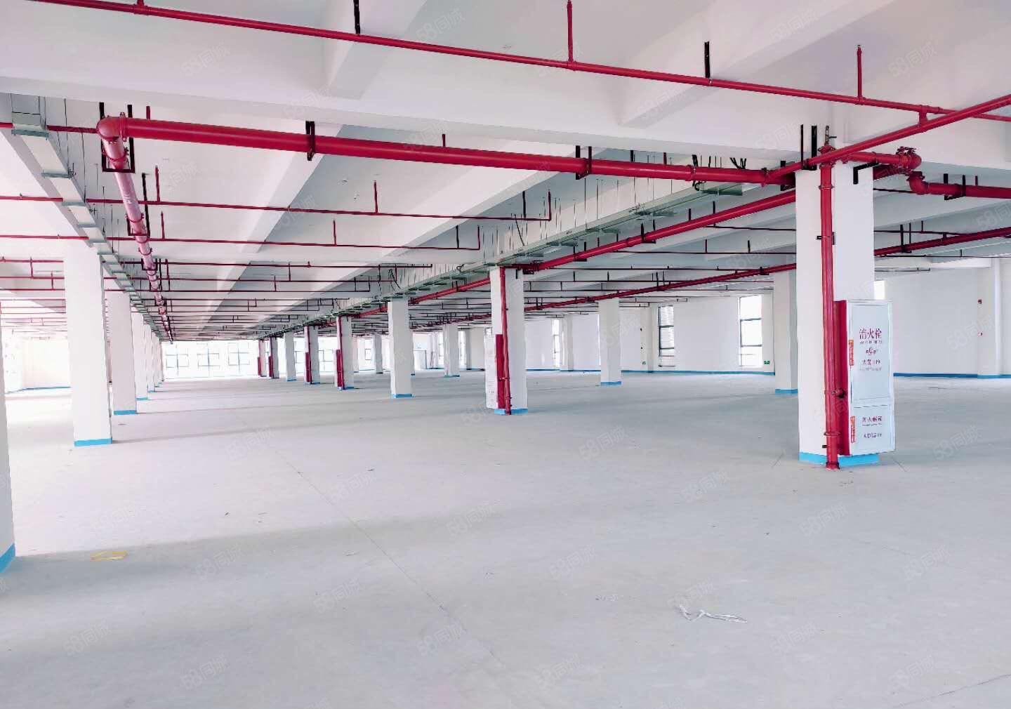 东坑镇楼上各种单层面积500至6000平方厂房出租，大小按需