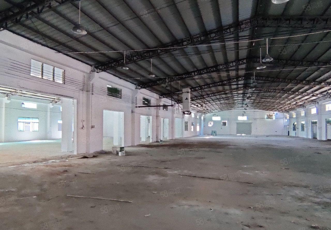 东坑独门独院单一层4700平方，滴水高度6米，空地2000