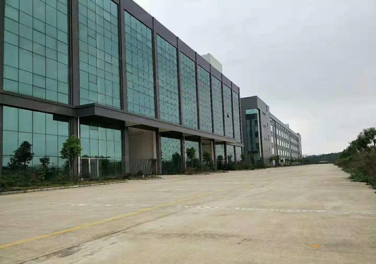 东坑 科技路附近 高新科技园3万平方火爆招商 可分租