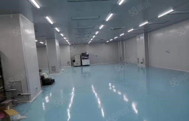 东坑 角社 自用厂房出租 一楼1000平方,无公摊面积