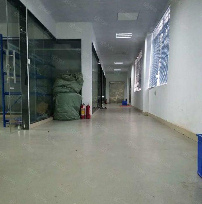 东坑 骏达工业园 一楼 厂房 800平方,价格便宜，急租!