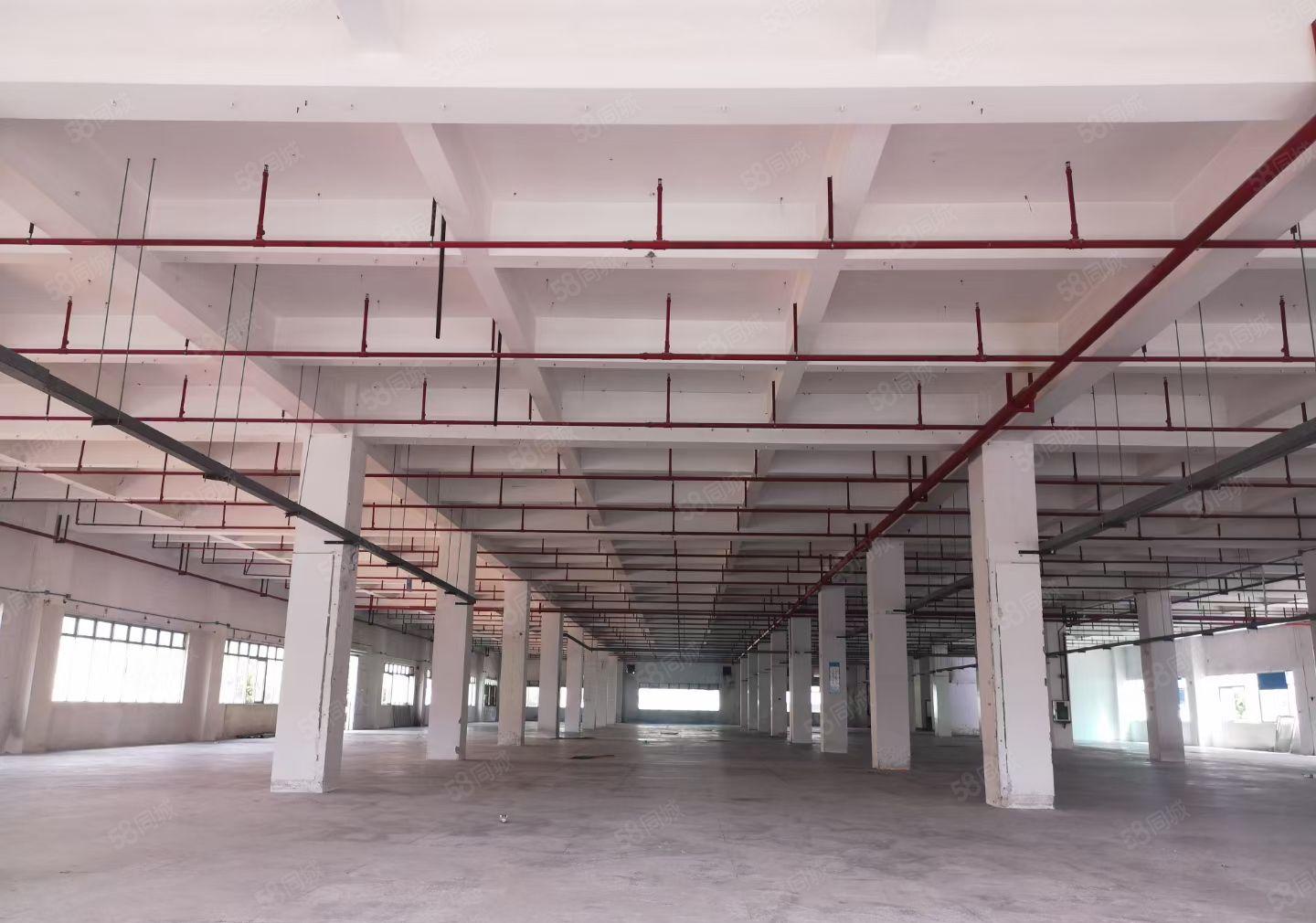 出租东坑新门楼厂房 水电到位 带消防喷淋 空地超大 交通便利