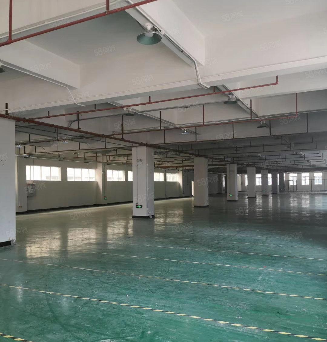 东坑镇工业园区小型厂房出租可分租200~1000平方，带装修