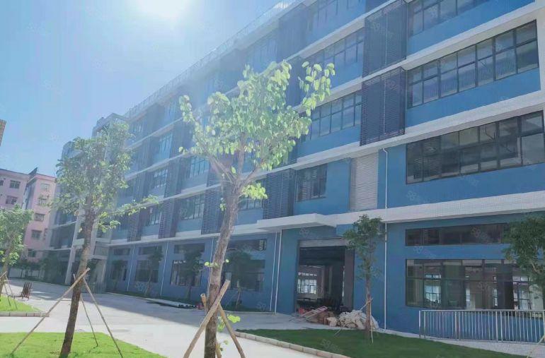 东坑原房东新出一楼1200平层高七米全新厂房出租