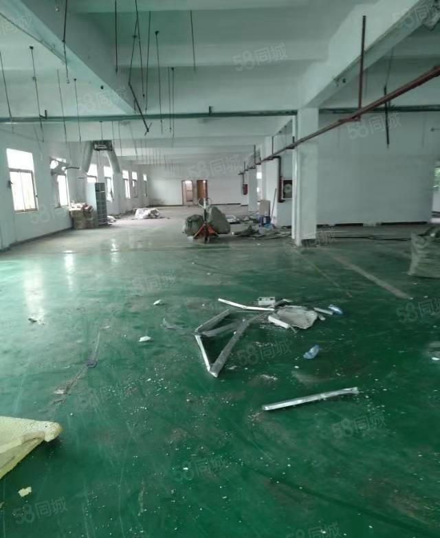 东坑 初坑 独院厂房出租2000平方，原房东