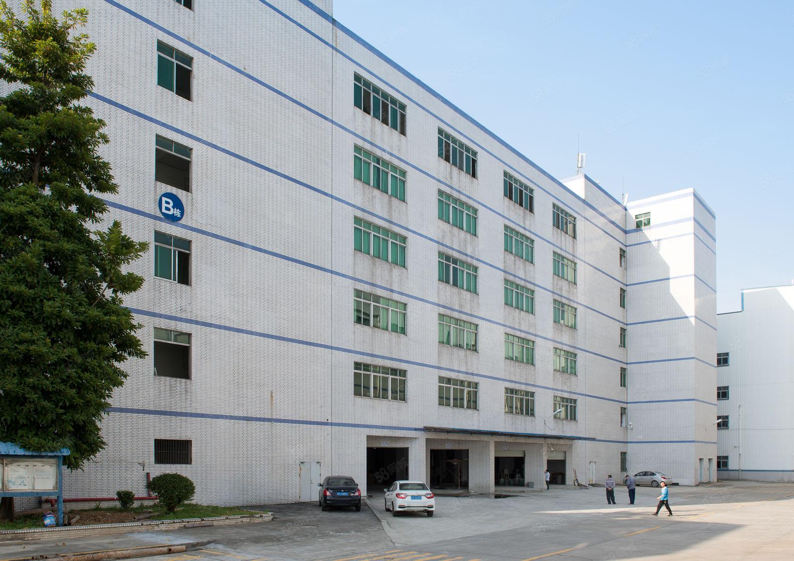 东坑彭屋现成装修一楼厂房1300平 层高6米 可办环评易招工