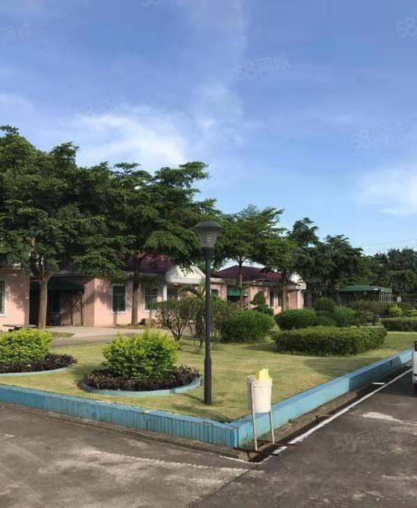 东坑 第三工业区 独院 铁皮 1200平方,环境优美