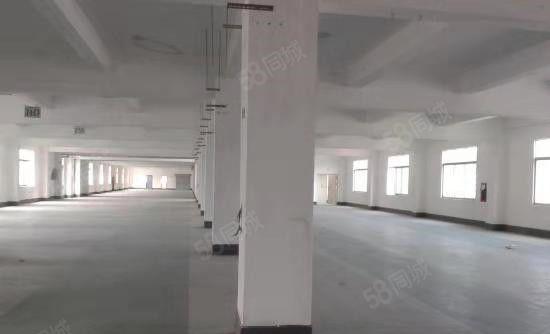 东坑 宝柏工业城 独院 厂房出租 共5000平方，形象好