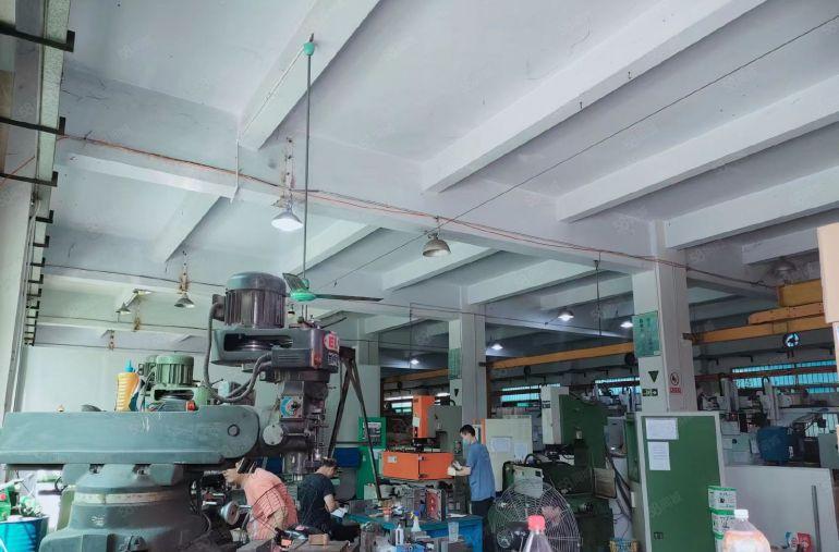 东坑原房东金典小独院标准厂房出租