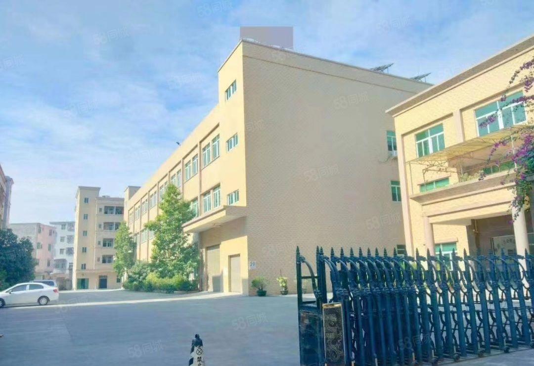 东坑镇角社村新出原房东标准一楼现成水电装修地坪漆6.5米高带