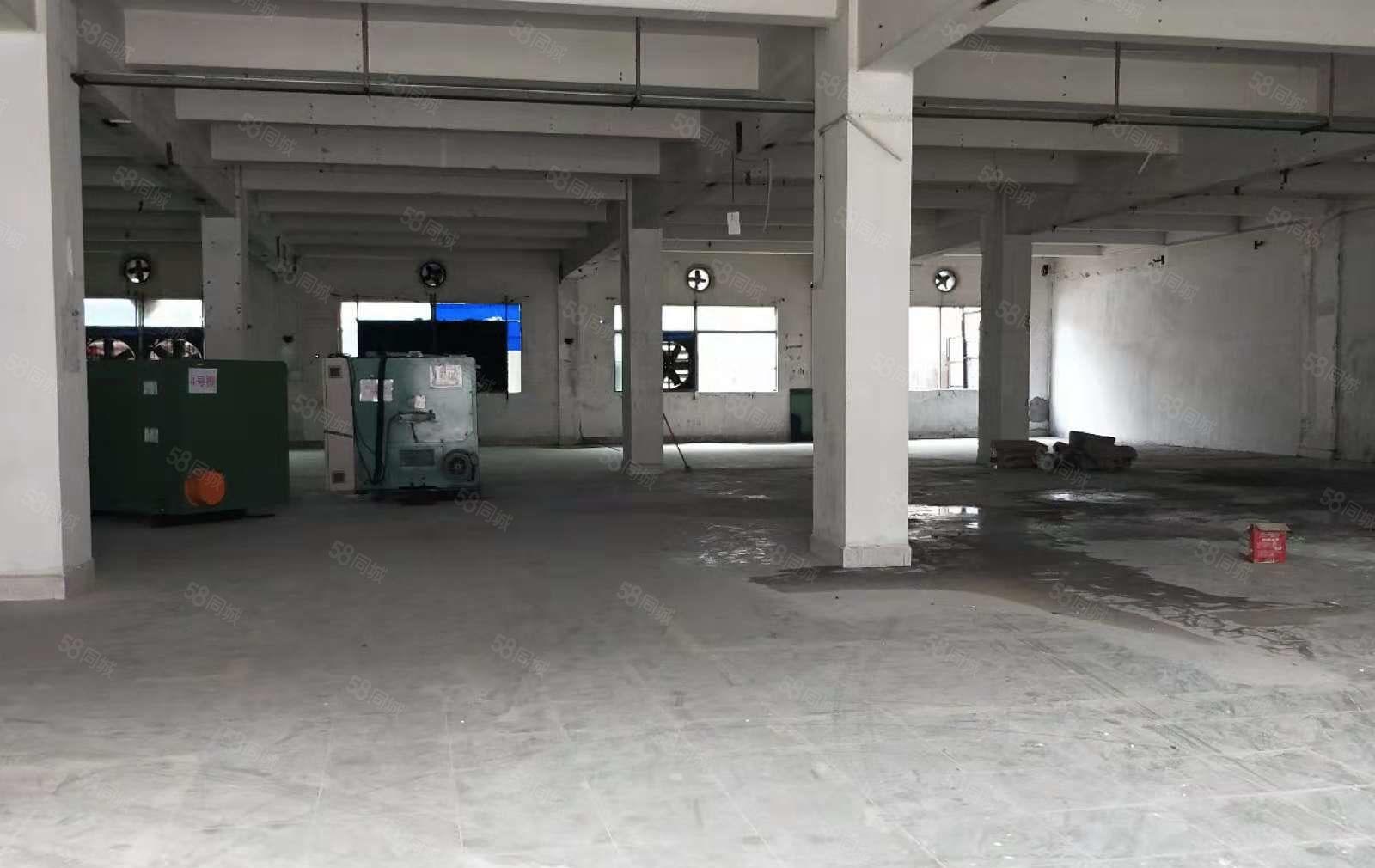 东坑 丁屋 厂房出租 一楼 400平方，价格便宜