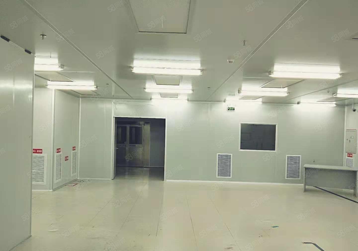 东坑 科技路附近 高新科技园3万平方火爆招商 可分租