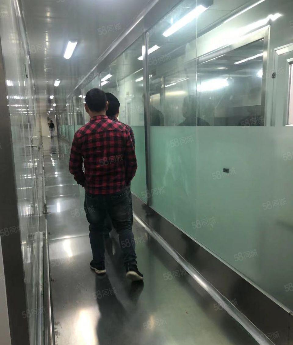 新出原房东小独院成熟环保工业园，现成喷油环评现成水，装修