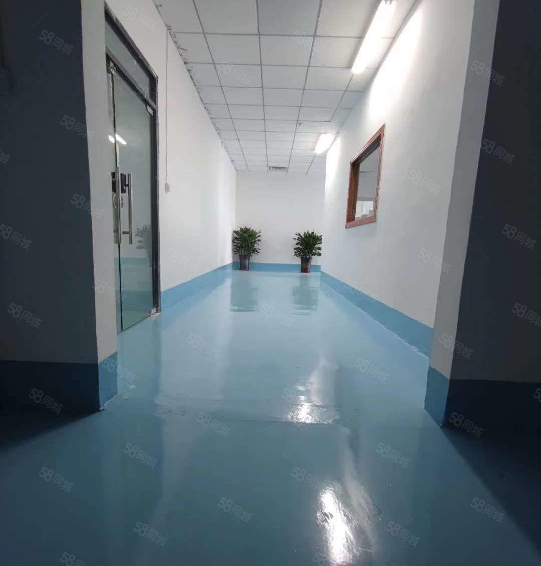 东坑二楼整层1200平方，带豪华装修，水电齐全价格优惠，可分