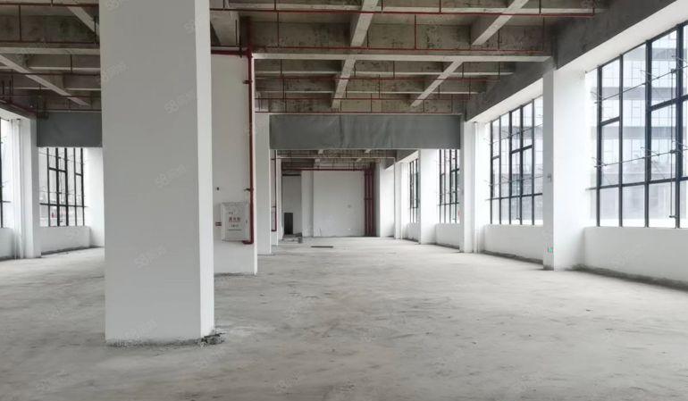 全新 一楼标准厂房1000平 出租