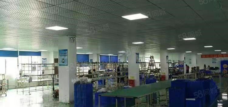 东坑 塔岗 即将空出 二楼 整层 600平方，精装修，九成新