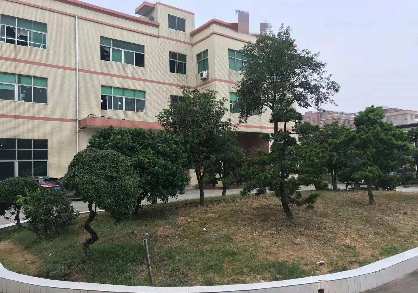 东坑 丁屋 原房东 独院厂房 3000平方,九成新