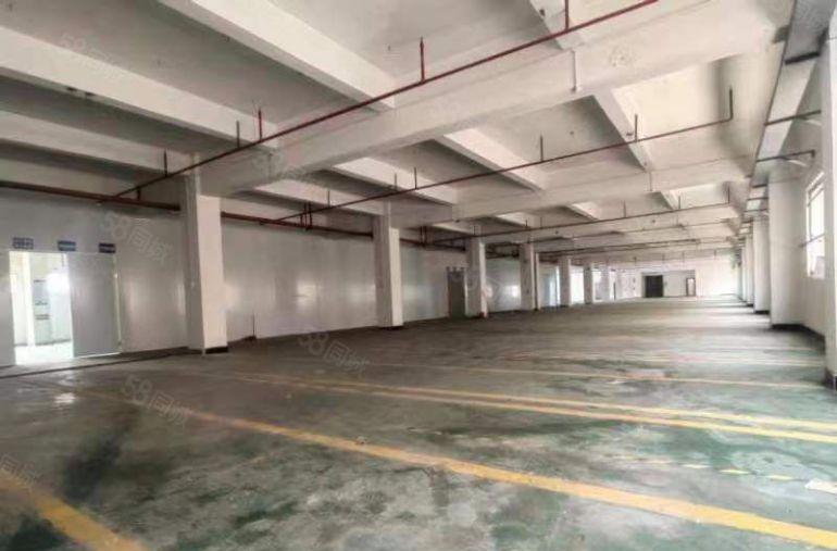 东坑原房东独门独精装修证件齐全高速出口带红本