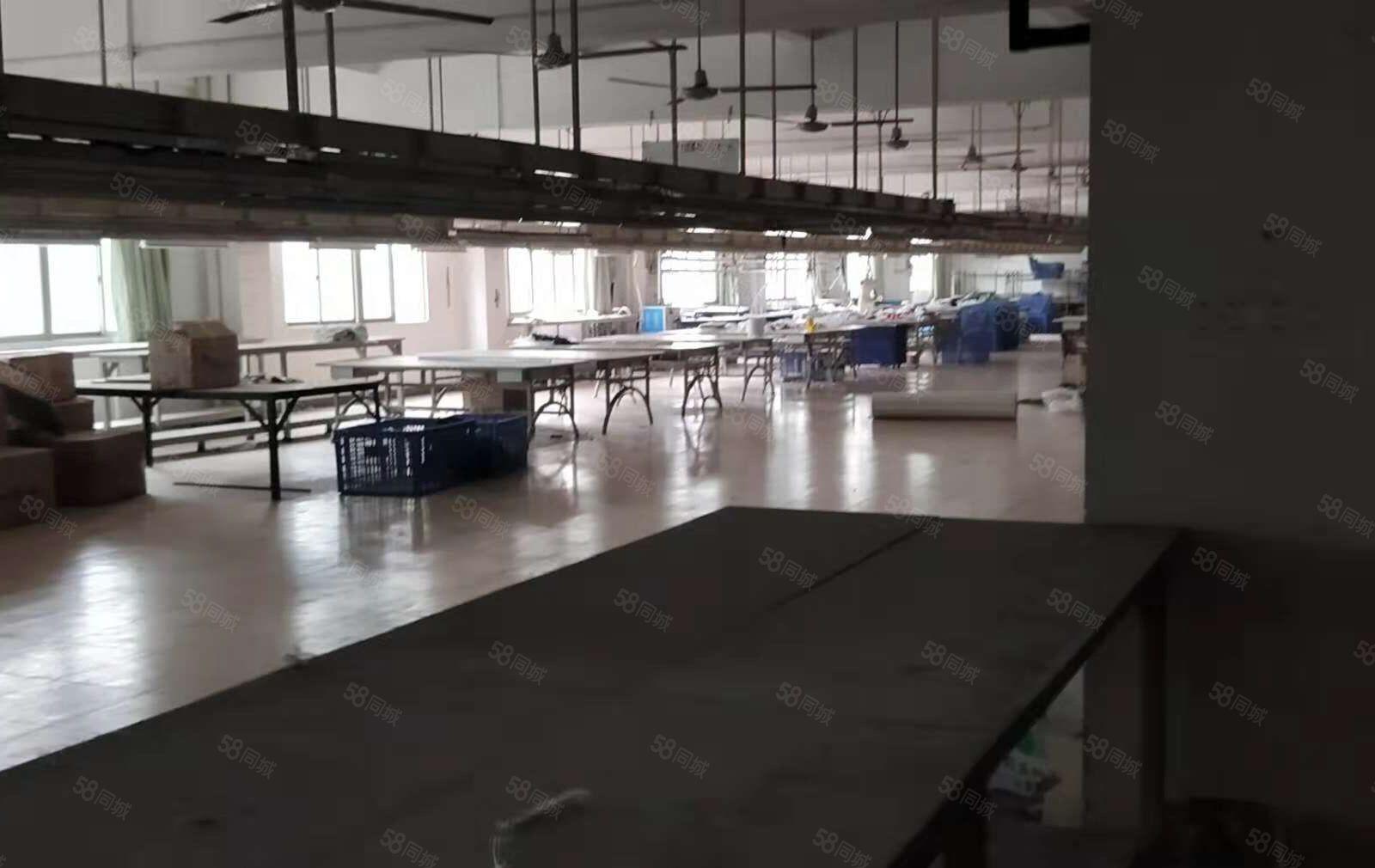 东坑原房东独院标准厂房三层约4300平方，宿舍加饭堂约700