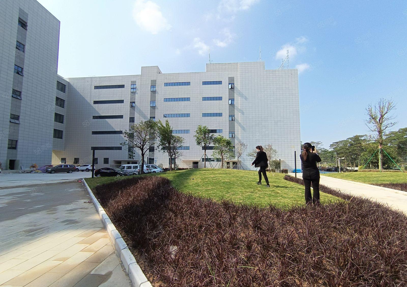 松山湖高新园区全新独院厂房独栋厂房花园厂房重工业厂房可办环评