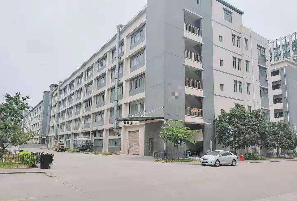 东坑工业园区花园式厂房出租1680平方，带卸货平台，形象好