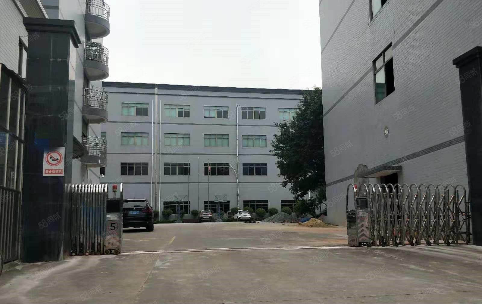 东坑 坑美 即将空出 一楼 1500平方,形象超靓,位置好