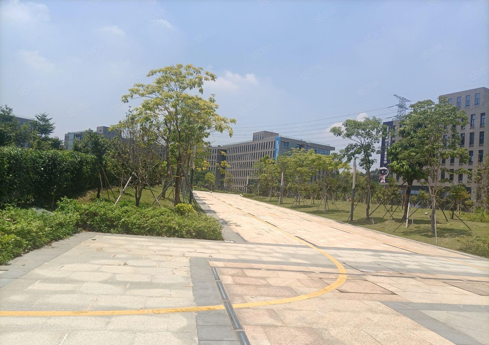 松山湖高新园区全新独院厂房独栋厂房花园厂房重工业厂房可办环评