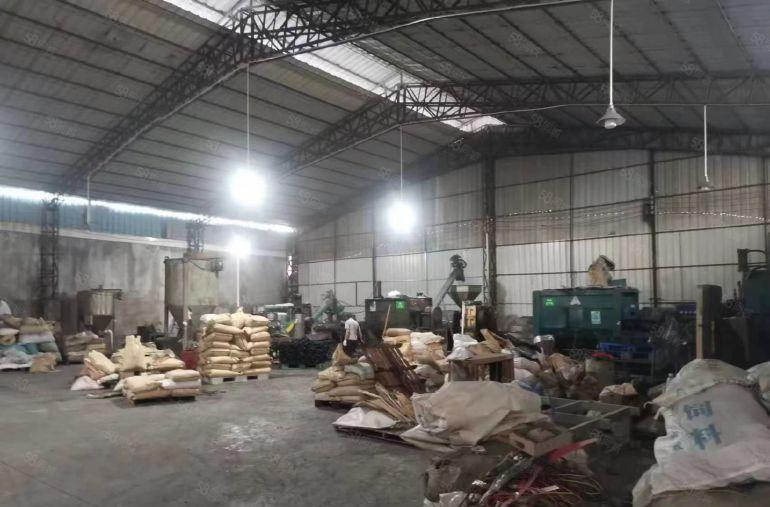 道滘镇新出单一层独门独院厂房