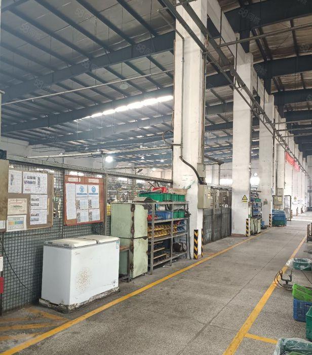 原房东单一层 空地大 带办公楼 水电办公室现成可分